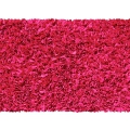 BTRM-02207 Shaggy Raggy Raspberry