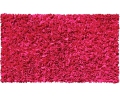 BTRM-02207 Shaggy Raggy Raspberry