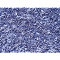 BTRM-02216 Shaggy Raggy Dark Blue