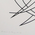 SP11A[1]orig sign