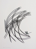 SP13A[1]orig